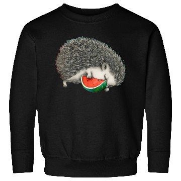 Discover Hedgehog Sleeping With Watermelon Sweatshirts