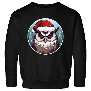 Discover Christmas owl Sweatshirts