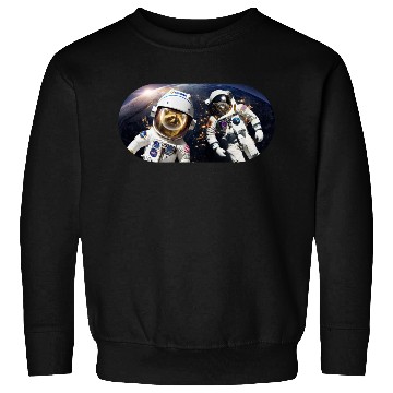 Discover Racoons in Space Sweatshirts