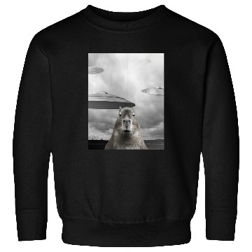 Discover Funny Graphic Capybara Selfie with UFOs Weird Sweatshirts