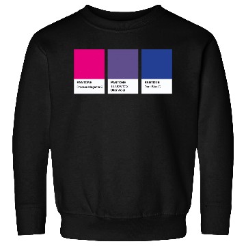 Discover LGBT COLOR PANTONE PALLETE BISEXUAL COMMUNITY Sweatshirts