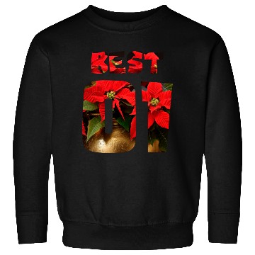 Discover best friends for 3 - BEST Sweatshirts