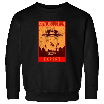 Discover Alien, Aliens, UFO, UAP, Space Unknown Flight Sweatshirts