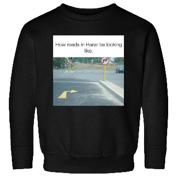Discover Harariboy Meme Merch Sweatshirts