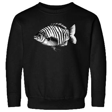 Discover Fish Sweatshirts