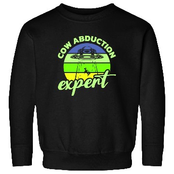 Discover Alien, Aliens, UFO, UAP, Space Unknown Flight Sweatshirts