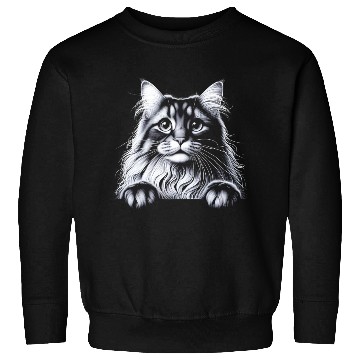 Discover More Treats persian 2- Cute realistic cat drawing Sweatshirts