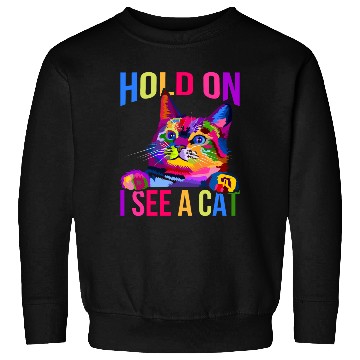 Discover Hold On I See A Cat Sweatshirts