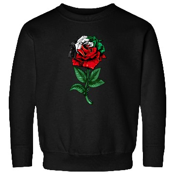 Discover Palestine Flag Pelestinian Sweatshirts