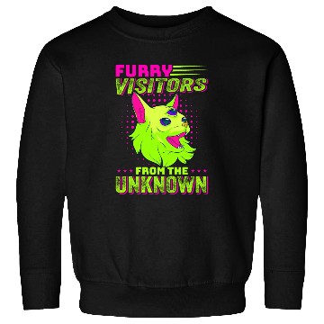 Discover Alien, Aliens, UFO, UAP, Space Unknown Flight Sweatshirts