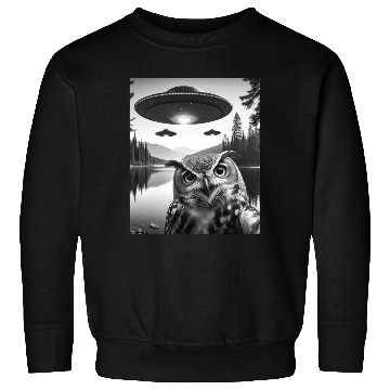 Discover Funny Graphic Owl With UFOs Weird Sweatshirts