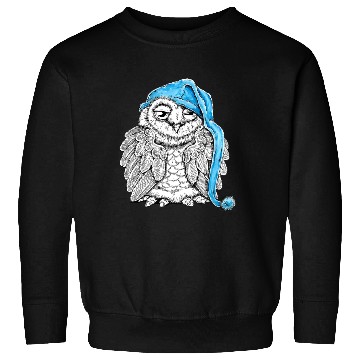 Discover Owl in Nightcap Sweatshirts