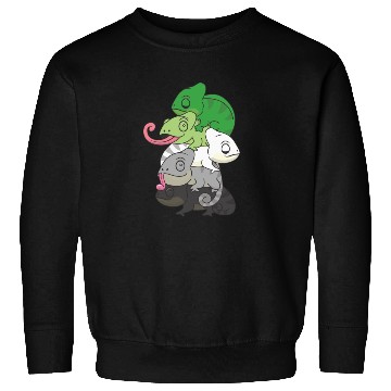 Discover Aromantic Flag Pride Lgbtq Cute Chameleon Pile Sweatshirts