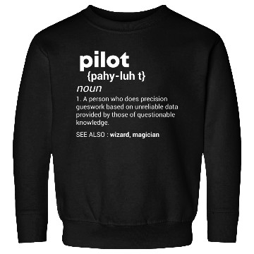 Discover Pilot Definition Airplane Jet Aviation Sweatshirts