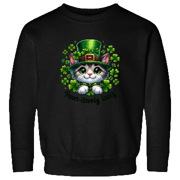 Discover Paws itively Lucky Festive Cat with St Patrick s Sweatshirts