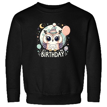 Discover Its My Birthday Sweet Birthday Owl Sweatshirts
