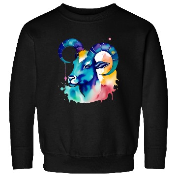Discover Color splash zodiac: Capricorn Sweatshirts