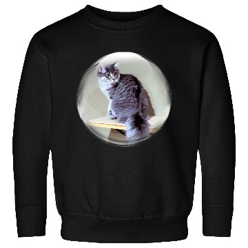 Discover Life In a Bubble Collection-Kitty on the Shelf Sweatshirts