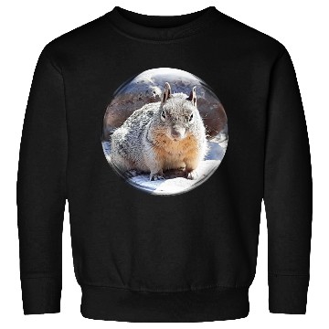 Discover Life In a Bubble Collection- Grand Canyon Squirrel Sweatshirts