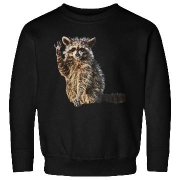 Discover Sunny Raccoon: Happy Print Collection Sweatshirts