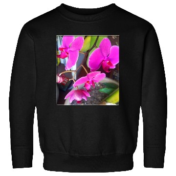Discover Orchid 1 Sweatshirts