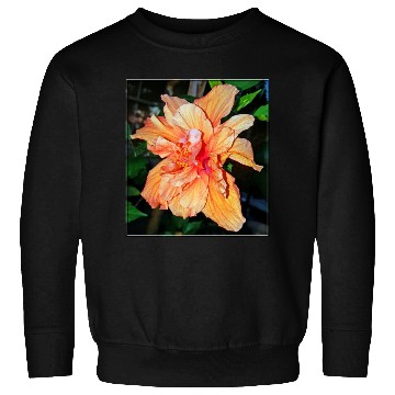 Discover Hibiscus 1 Sweatshirts