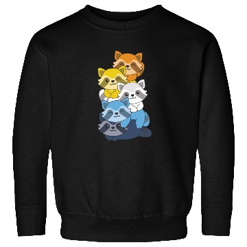 Discover Aroace Flag Pride Lgbtq Cute Raccoon Stack Sweatshirts