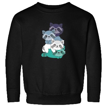 Discover Oriented Aroace Flag Pride Lgbtq Cute Raccoon Sweatshirts