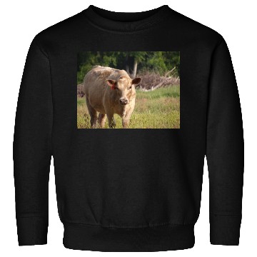 Discover Cow Sweatshirts
