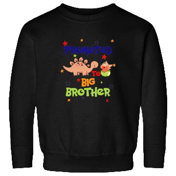 Discover promoted to big brother Sweatshirts