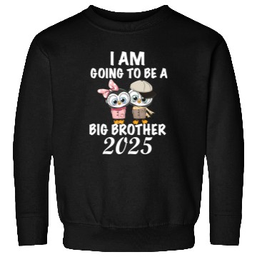 Discover Big Brother 2025, 2025 Big Brother Penguin Sweatshirts