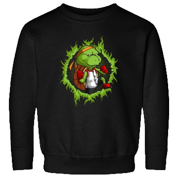 Discover Kung Fu Turtle With Halftone Fire Background Sweatshirts