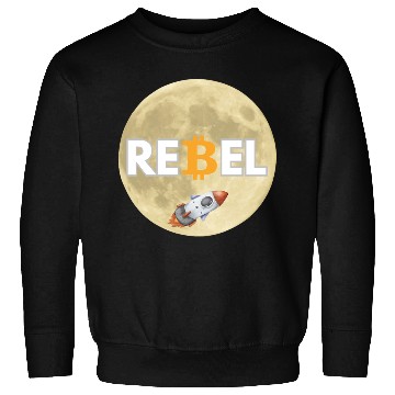 Discover Bitcoin Enthusiasts Sweatshirts
