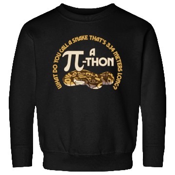 Discover Math Pun Pi-thon Funny Snake Mathematics Meme Sweatshirts