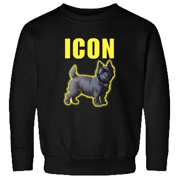 Discover Icon Boy Sweatshirts