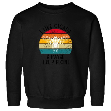 Discover I Like Cicada & Maybe Like 3 People, Retro Sunset Sweatshirts