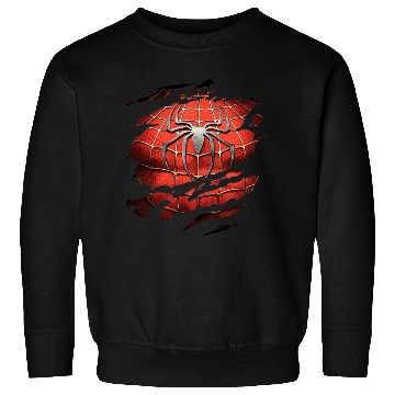 Discover Superheroes Design 2 Sweatshirts