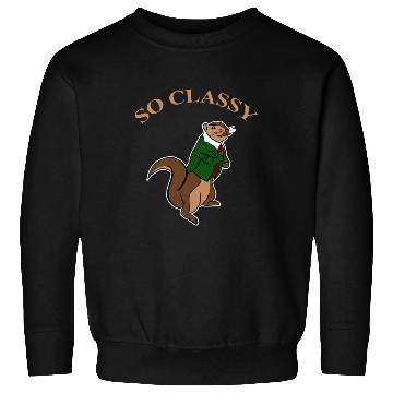 Discover So Classy Squirrel Clothes Chipmunks Animal Lover Sweatshirts