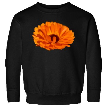 Discover orange flower marigold Sweatshirts