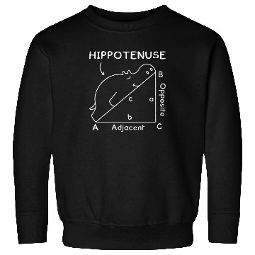 Discover Math Teacher Joke Geometry Hypotenuse Hippotenuse Sweatshirts