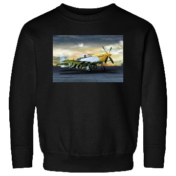 Discover P-51 Sweatshirts