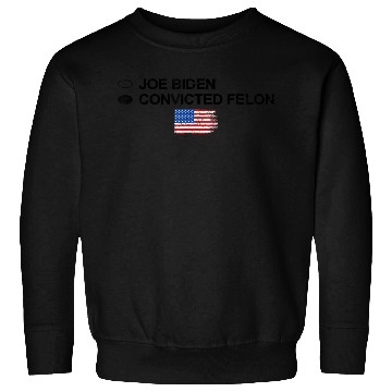 Discover Joe Biden Vs Convicted Felon Funny 2024 Flag Sweatshirts