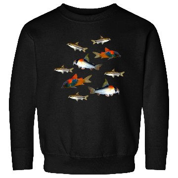 Discover Pygmy Corydoras Adolfoi Corydoras Catfish Aquarium Sweatshirts