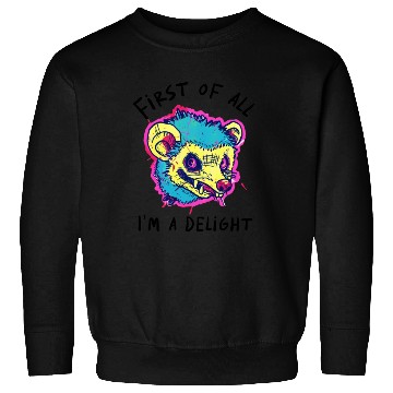 Discover Funny Opossum First of All I'm a Delight Humor Sweatshirts