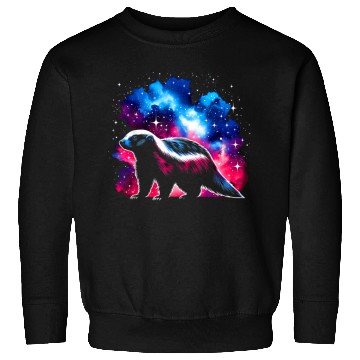 Discover Cool Galaxy Graphic Space Art Sweatshirts