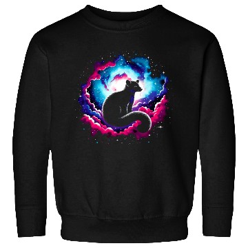 Discover Cool Platypus Galaxy Space Art Sweatshirts