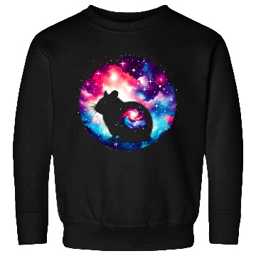 Discover Cool Hamster Galaxy Space Art Sweatshirts