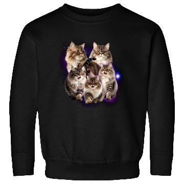 Discover Persian Cat Pet Animals Lover Design Sweatshirts
