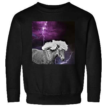 Discover Horse, lightning, night Sweatshirts