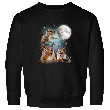 Discover Funny Squirrel Moon Space! Nerd, Geed, Science Sweatshirts